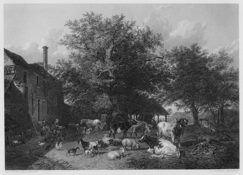 Podwórko, ze zdjęcia w Galerii Vernon autorstwa Thomas Sidney Cooper