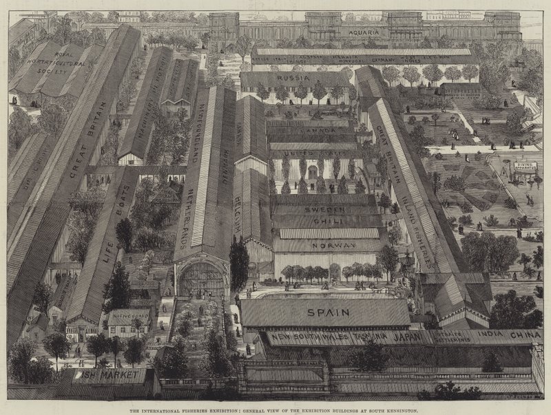 Międzynarodowa Wystawa Rybołówstwa, Widok ogólny budynków wystawowych w South Kensington autorstwa Thomas Sulman