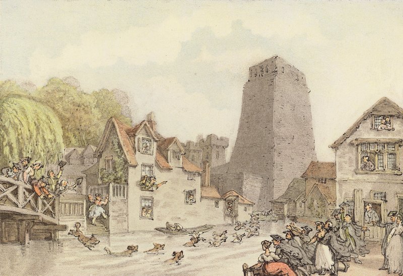 Polowanie na kaczki (kolor lito) autorstwa Thomas (after) Rowlandson