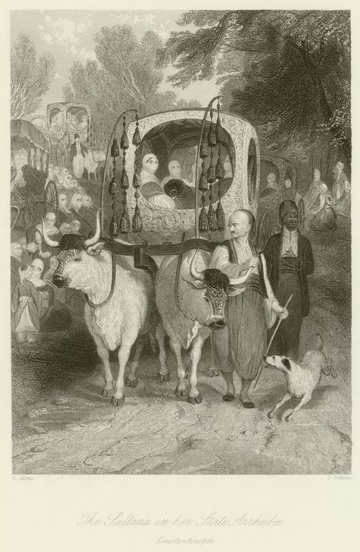 Sułtana w swoim stanie Arrhuba autorstwa Thomas Allom