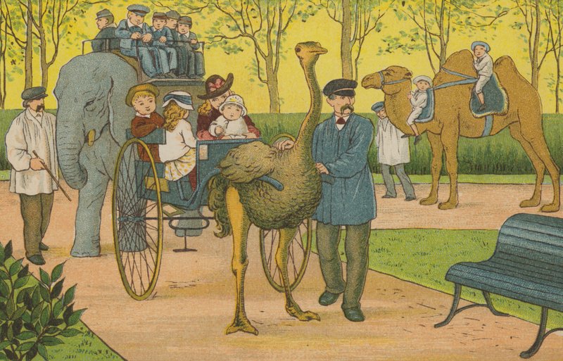 Paryż: zoo (litografia kolorowa) autorstwa Thomas Crane