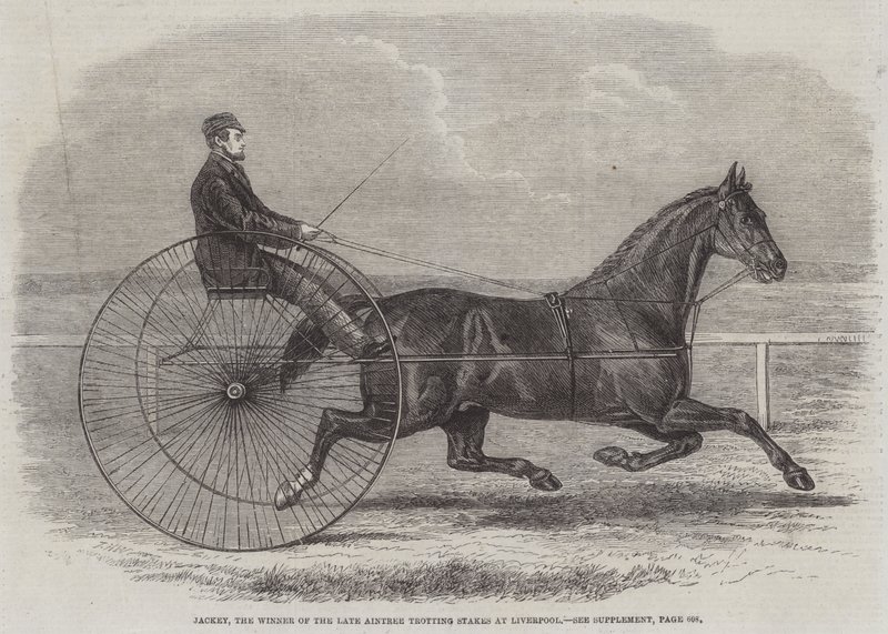 Jackey, zwycięzca ostatniej Aintree Trotting Stakes w Liverpoolu autorstwa Thomas Harrington Wilson