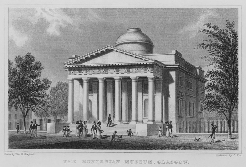 Hunterian Museum, Glasgow (rycina) autorstwa Thomas Hosmer Shepherd