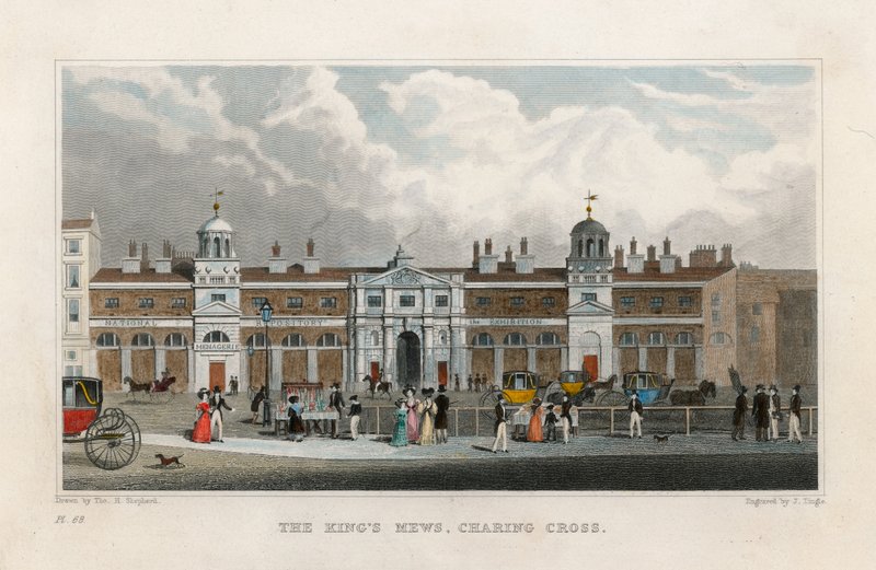 The Kings Mews, Charing Cross. Tymczasowy dom Menażerii Edwarda Crossa autorstwa Thomas Hosmer Shepherd