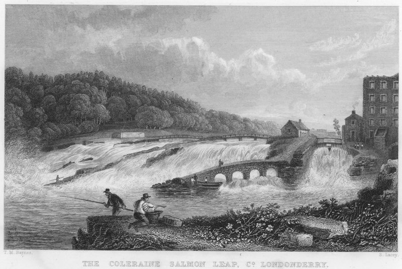 The Coleraine Salmon Leap, County Londonderry (grawerowanie) autorstwa Thomas Mann (after) Baynes