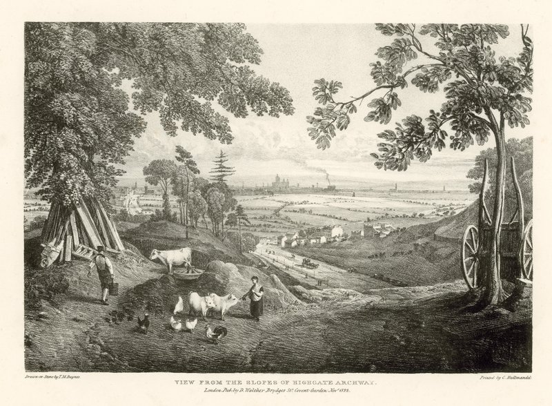 Widok ze zboczy Highgate Archway autorstwa Thomas Mann Baynes