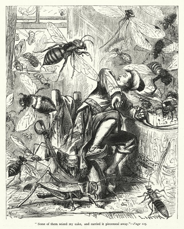 Ilustracja do Podróży Guliwera autorstwa Jonathana Swifta (rycina) autorstwa Thomas Morten