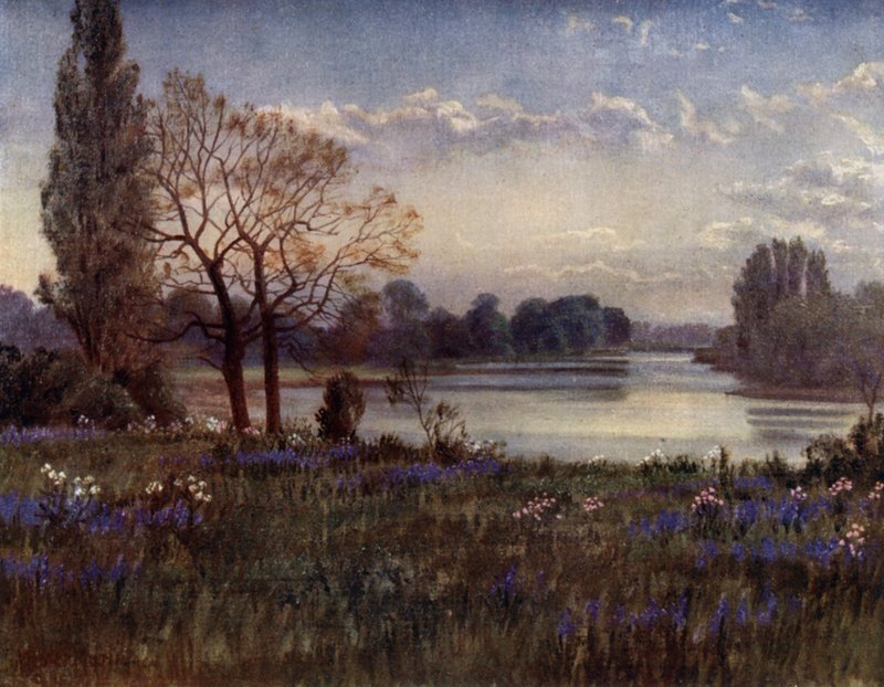 Kew Gardens: Patrząc w górę Tamizy (kolor lito) autorstwa Thomas Mower Martin