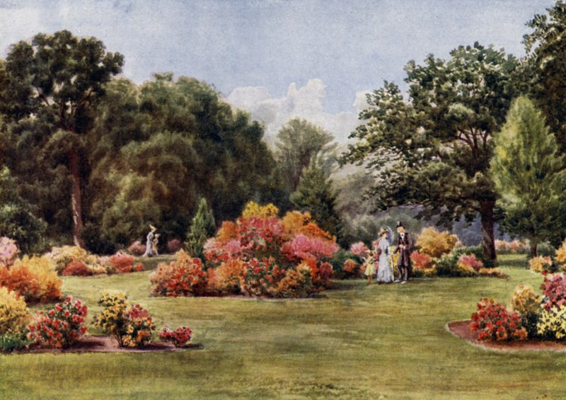 Kew Gardens: Azalia (kolor lito) autorstwa Thomas Mower Martin