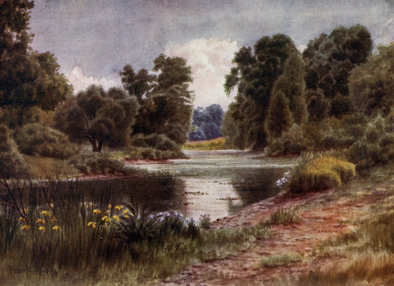 Kew Gardens: Jezioro, patrząc na południe (kolor lito) autorstwa Thomas Mower Martin