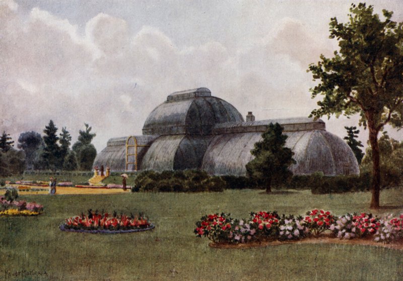 Kew Gardens: Palmiarnia (kolor lito) autorstwa Thomas Mower Martin