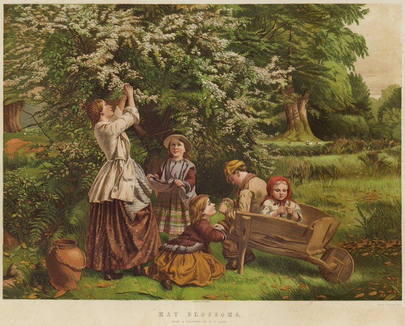 Kwiaty maja (chromolitho) autorstwa Thomas P. Hall