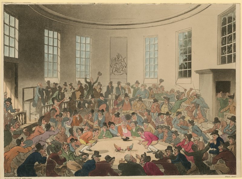 Ilustracja przedstawiająca tłum oglądający walkę kogutów autorstwa Thomas Rowlandson