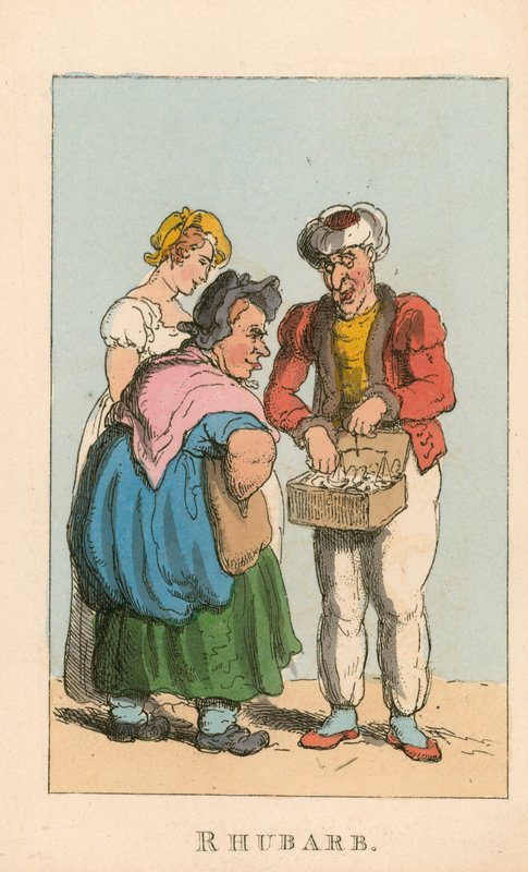 Rabarbar autorstwa Thomas Rowlandson