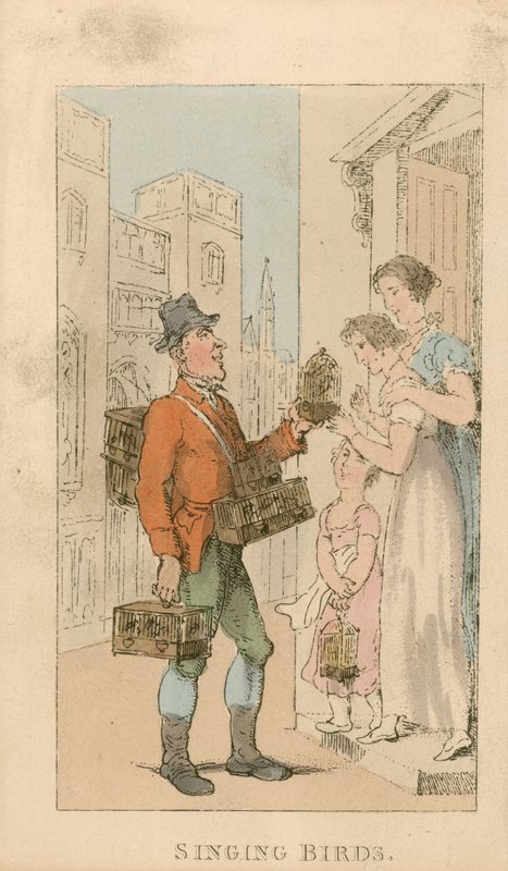 Śpiewające ptaki autorstwa Thomas Rowlandson