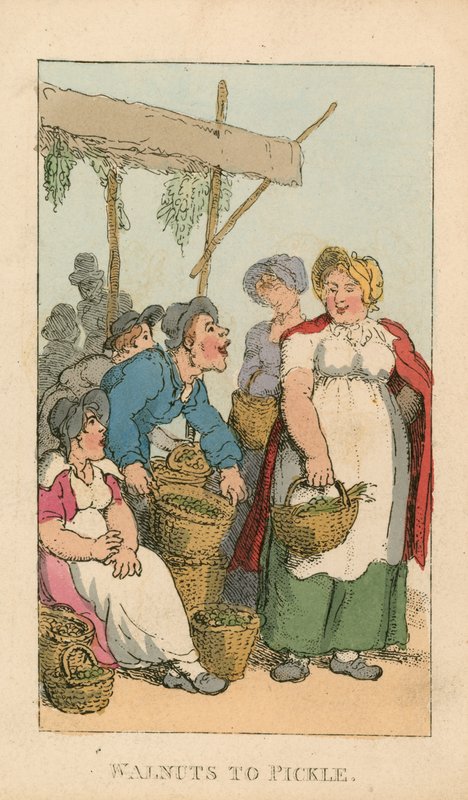 Orzechy włoskie do marynowania autorstwa Thomas Rowlandson