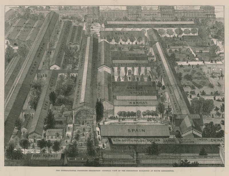 Międzynarodowa Wystawa Rybołówstwa; Widok ogólny budynków wystawienniczych (grafika) autorstwa Thomas Sulman
