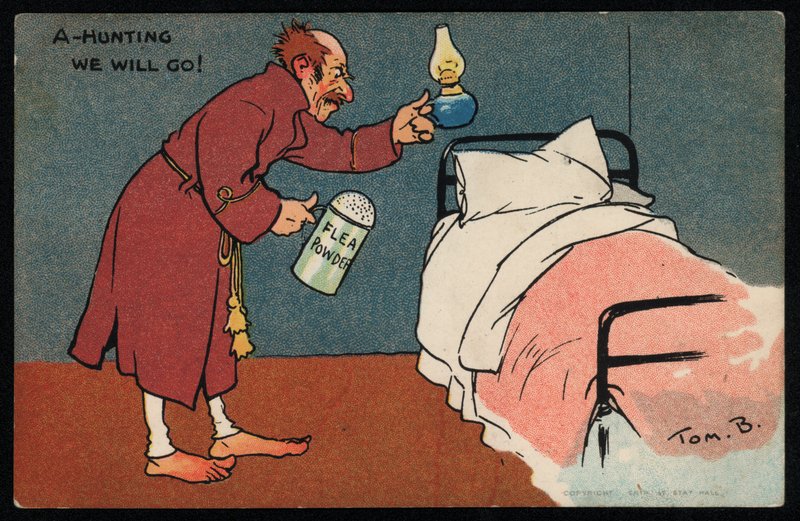 Mężczyzna polujący na pchły w swoim łóżku (chromolitho) autorstwa Tom Browne