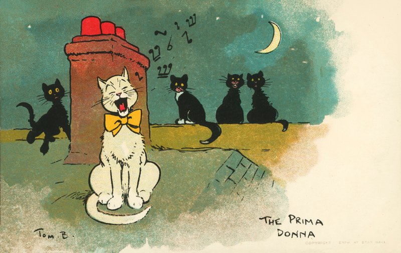 Prima donna (kolorowa litografia) autorstwa Tom Browne