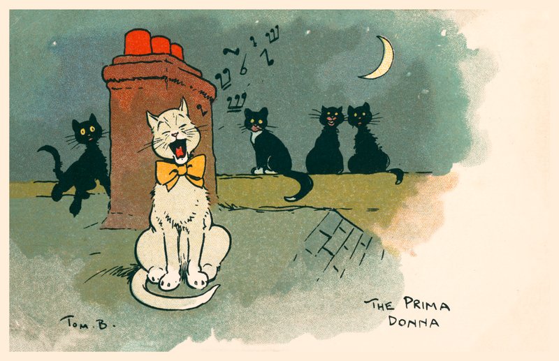 Prima Donna (kolorowa litografia) autorstwa Tom Browne