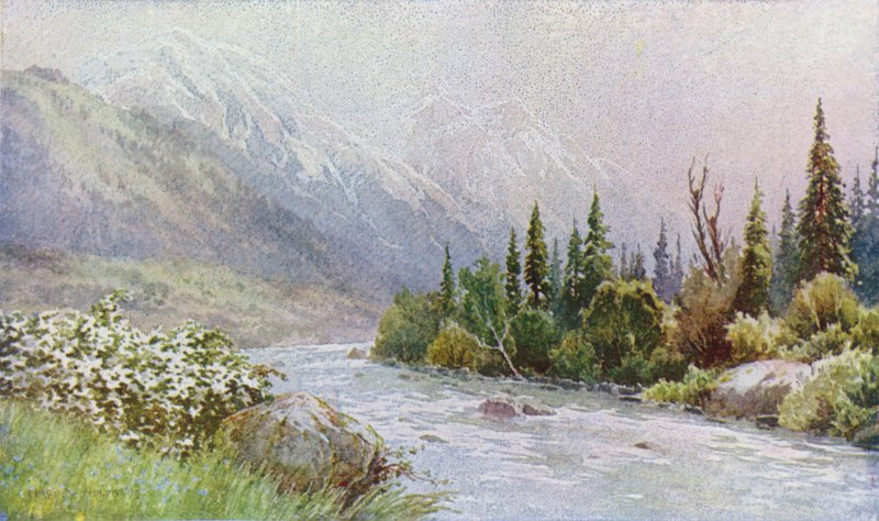 Wczesny poranek w pobliżu Pahalgam, Lidder Valley autorstwa Unbekannt Unbekannt