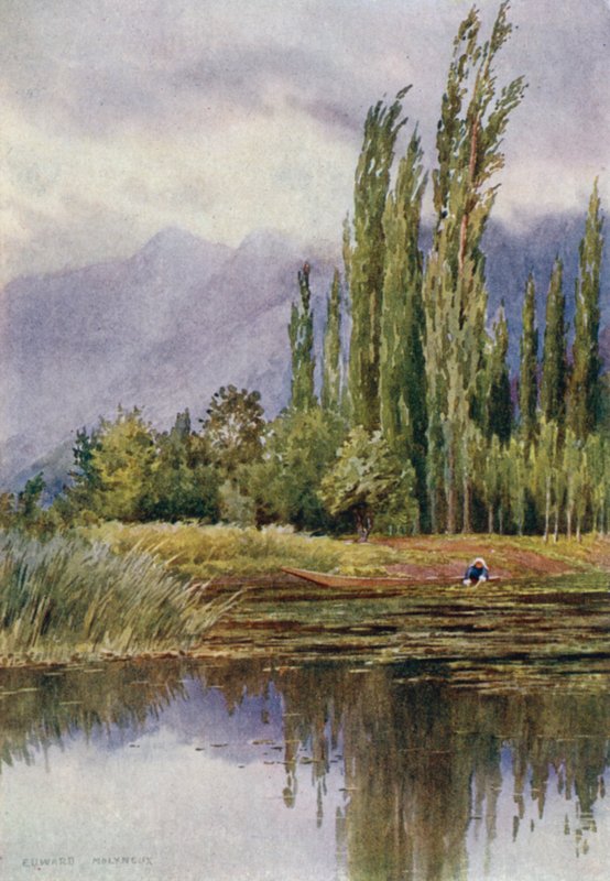 Kołysanka przed burzą, Dal Lake autorstwa Unbekannt Unbekannt