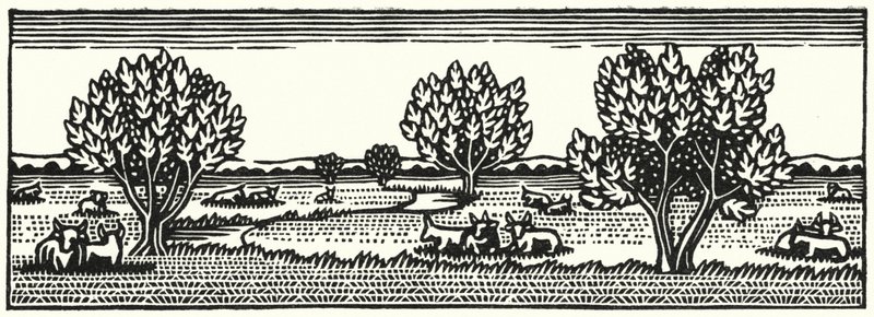 Ilustracja do Tess Of The D’Urbervilles autorstwa Thomasa Hardy