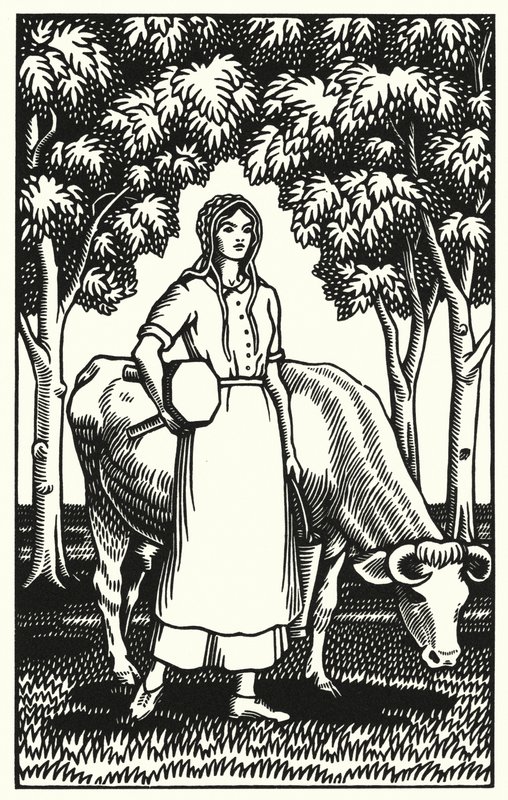 Ilustracja do Tess Of The D’Urbervilles autorstwa Thomasa Hardy