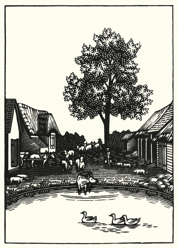 Ilustracja do Tess Of The D’Urbervilles autorstwa Thomasa Hardy