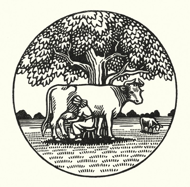 Ilustracja do Tess Of The D’Urbervilles autorstwa Thomasa Hardy