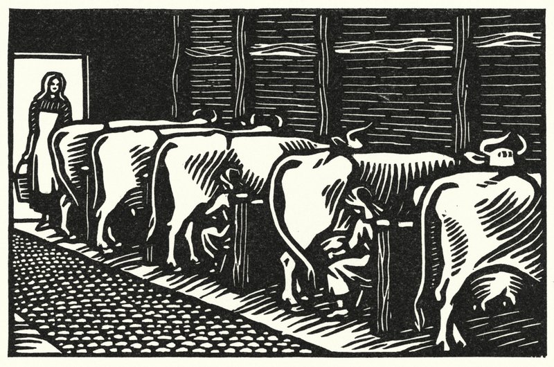 Ilustracja do Tess Of The D’Urbervilles autorstwa Thomasa Hardy