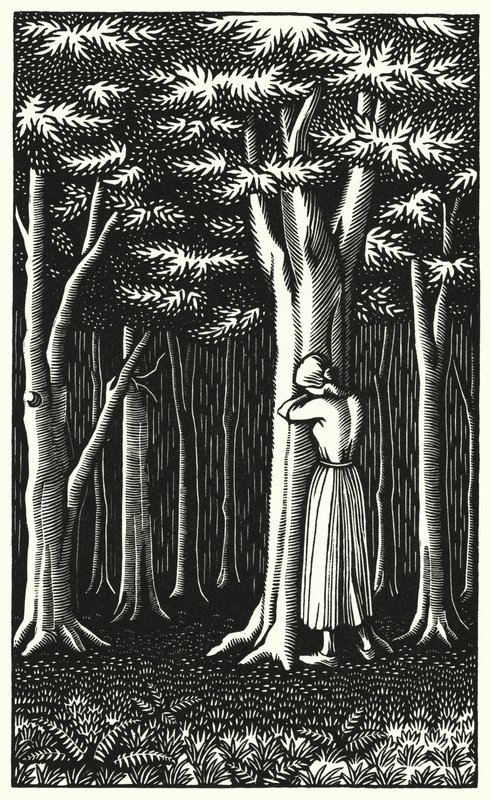 Ilustracja do Tess Of The D’Urbervilles autorstwa Thomasa Hardy