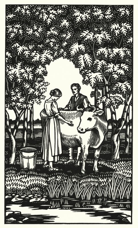 Ilustracja do Tess Of The D’Urbervilles autorstwa Thomasa Hardy