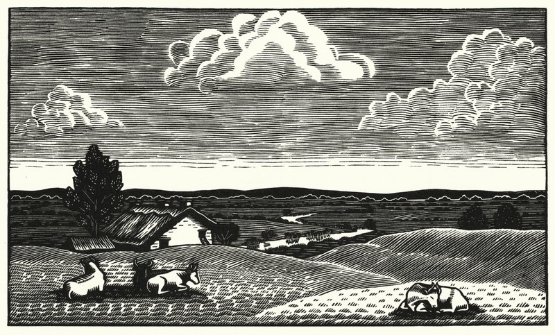 Ilustracja do Tess Of The D’Urbervilles autorstwa Thomasa Hardy