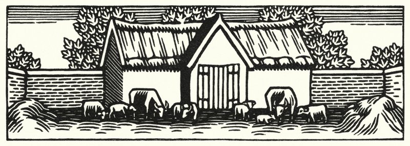 Ilustracja do Tess Of The D’Urbervilles autorstwa Thomasa Hardy