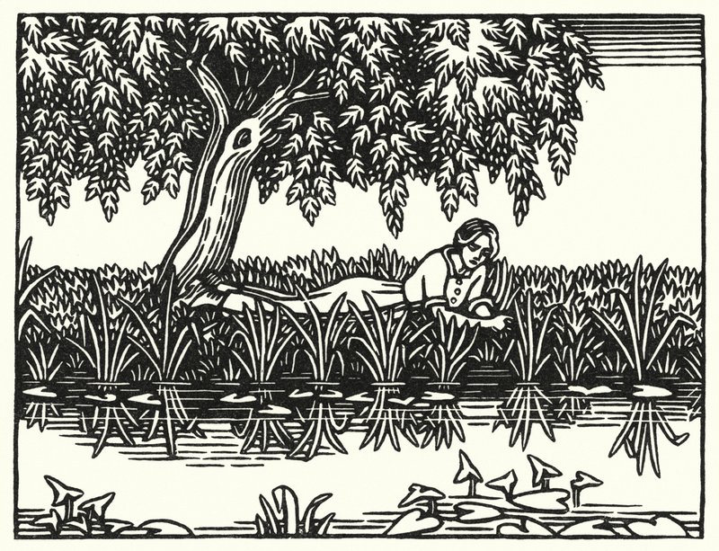Ilustracja do Tess Of The D’Urbervilles autorstwa Thomasa Hardy