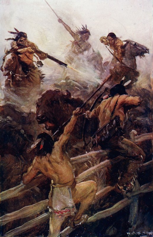 Z bliska z bawołem (kolor lito) autorstwa W.R.S. (after) Stott