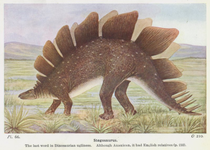 Stegozaur (kolor lito) autorstwa W. J. Stokoe