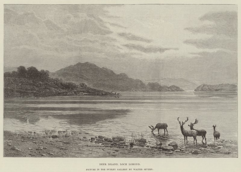 Deer Island, Loch Lomond, Obraz w Galerii Dudley autorstwa Walter Severn