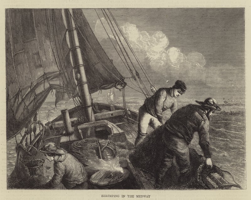 Krewetki w Medway autorstwa Walter William May