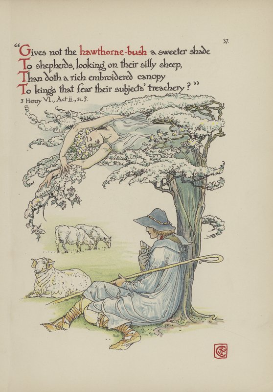 Kwiaty z Ogrodu Szekspira autorstwa Walter Crane