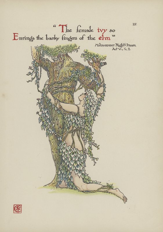 Kwiaty z Ogrodu Szekspira autorstwa Walter Crane