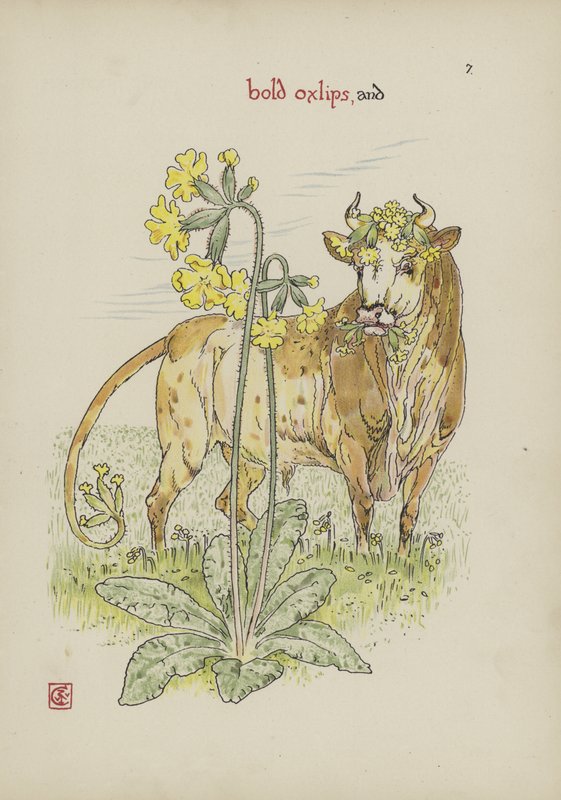 Kwiaty z Ogrodu Szekspira autorstwa Walter Crane