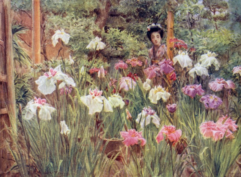 Próbki Irysy autorstwa Walter Frederick Roofe Tyndale