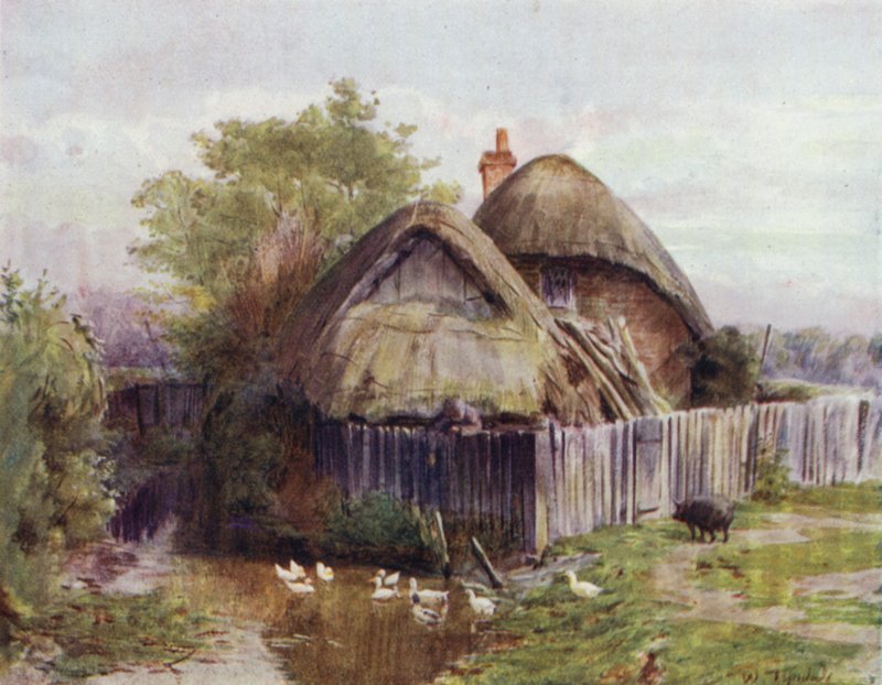 The New Forest: Chata w Bartley (kolor lito) autorstwa Walter Frederick Roofe Tyndale