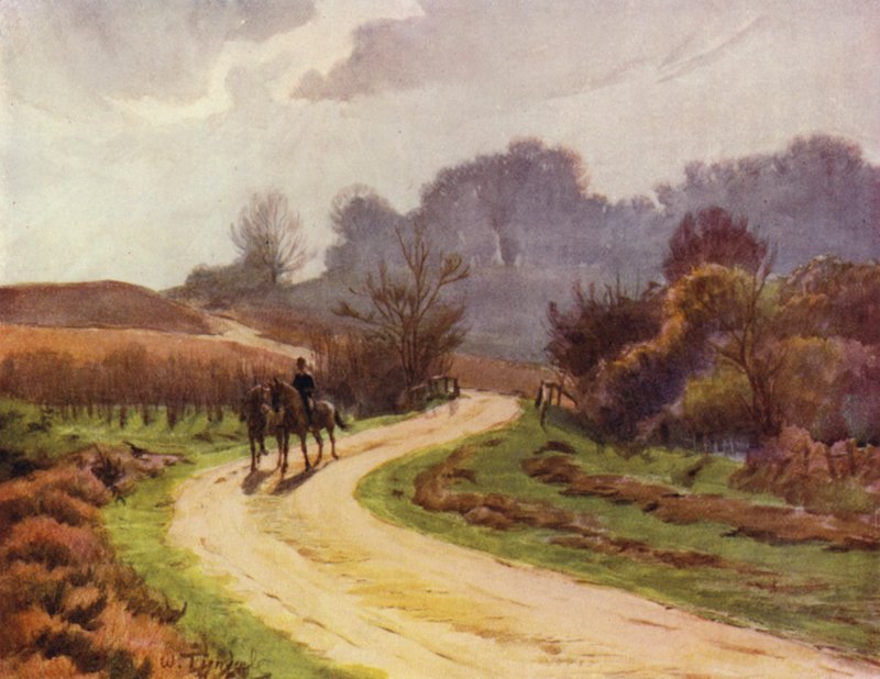 Nowy Las: Beaulieu, Lyndhurst (kolor lito) autorstwa Walter Frederick Roofe Tyndale