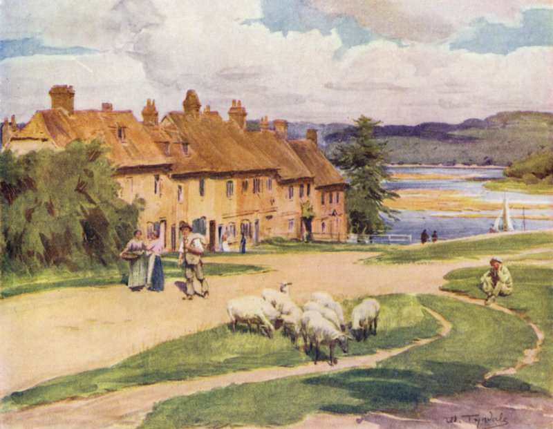 The New Forest: Buckler
