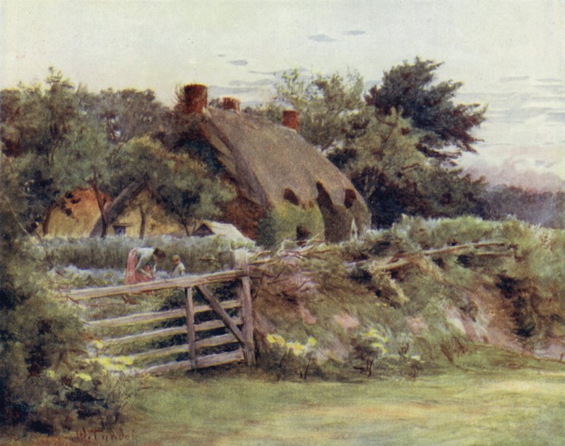 The New Forest: Domek w pobliżu Brokenhurst (kolor lito) autorstwa Walter Frederick Roofe Tyndale