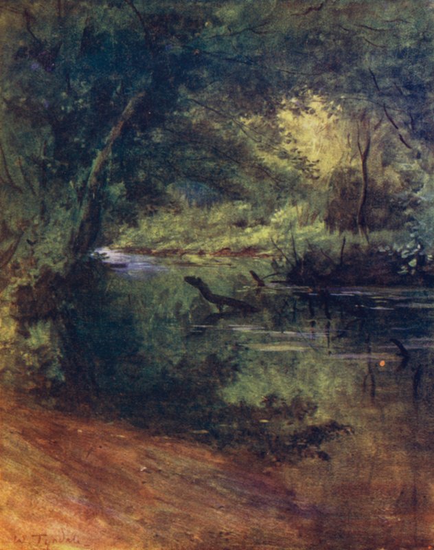 The New Forest: Northgate, niedaleko Culverley, w Lodge Walk (kolor lito) autorstwa Walter Frederick Roofe Tyndale