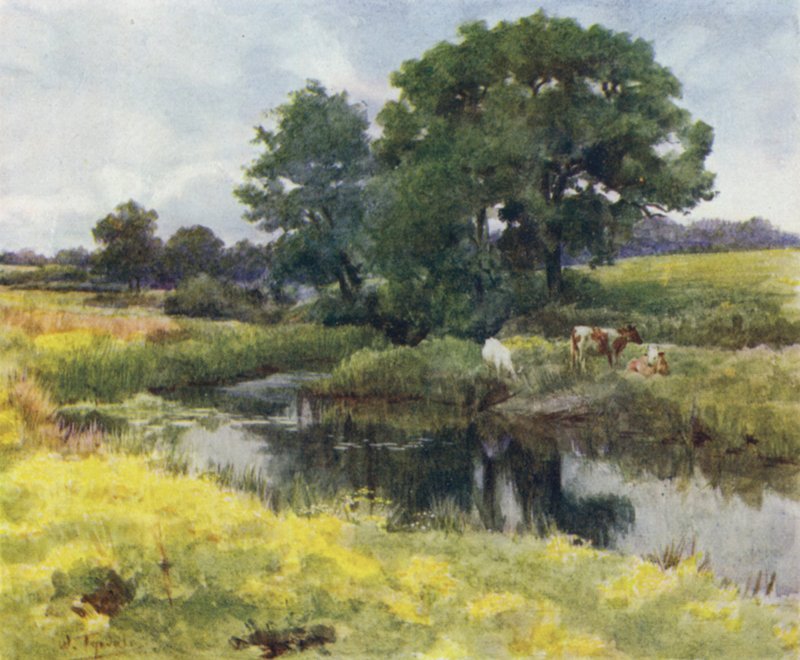 The New Forest: Na rzece Lymington (kolor lito) autorstwa Walter Frederick Roofe Tyndale